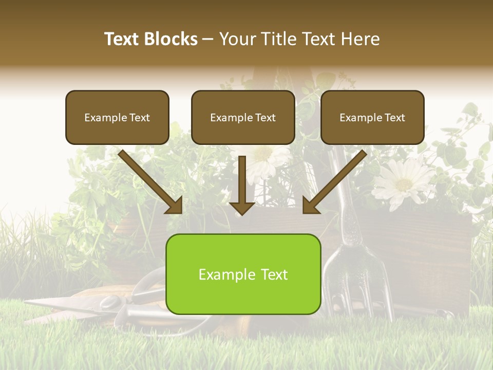 Close Up Grass Daisy PowerPoint Template
