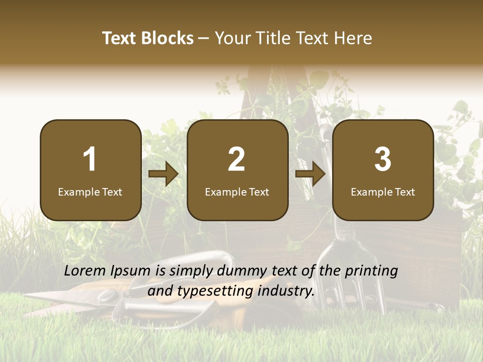 Close Up Grass Daisy PowerPoint Template