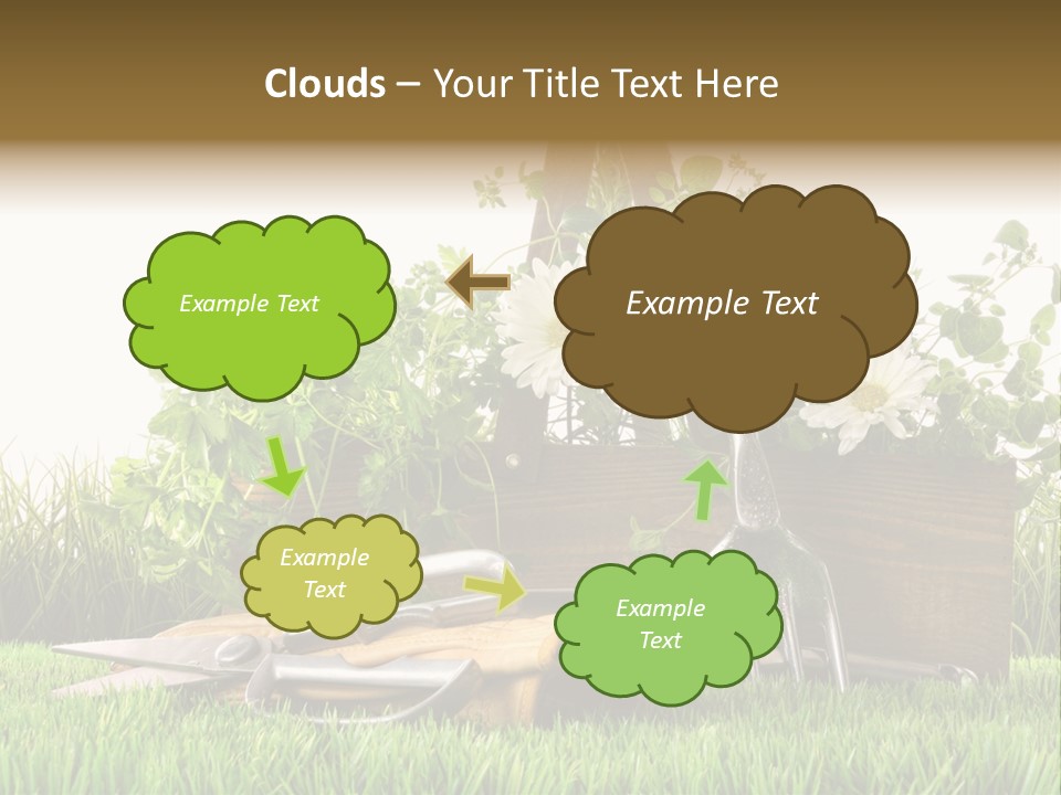 Close Up Grass Daisy PowerPoint Template