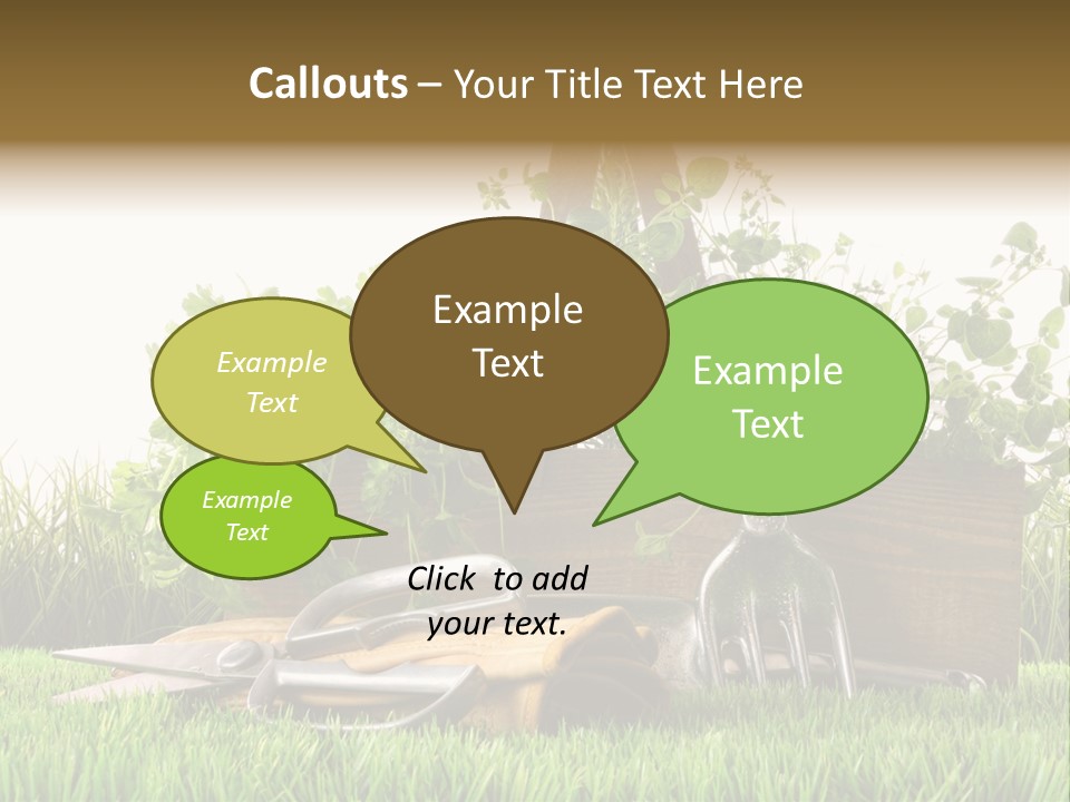 Close Up Grass Daisy PowerPoint Template