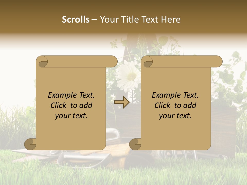 Close Up Grass Daisy PowerPoint Template