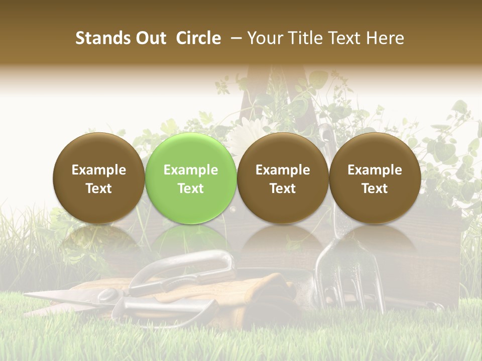 Close Up Grass Daisy PowerPoint Template