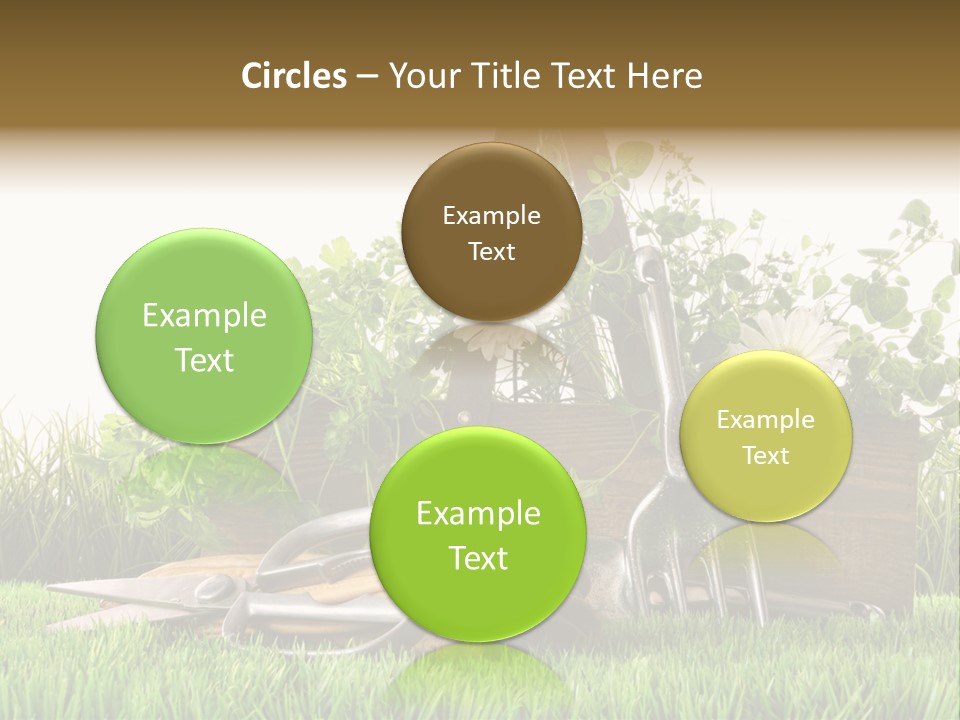 Close Up Grass Daisy PowerPoint Template