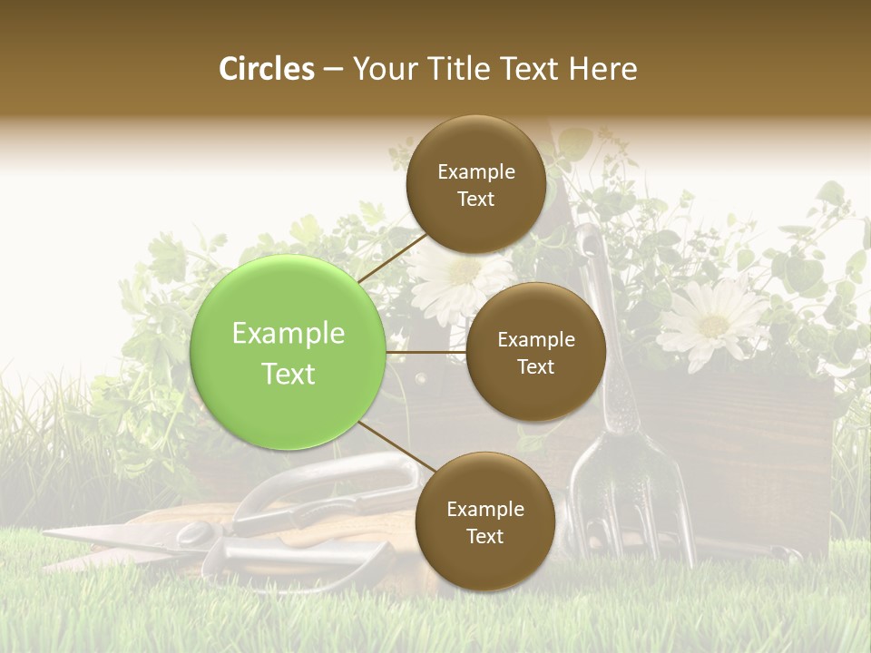 Close Up Grass Daisy PowerPoint Template