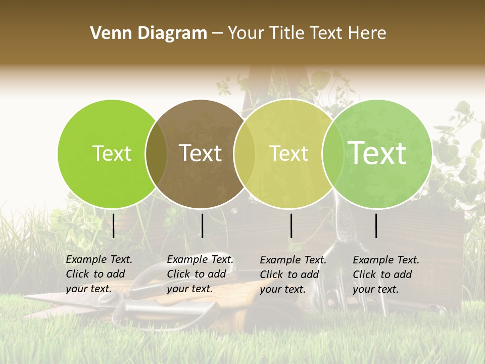 Close Up Grass Daisy PowerPoint Template