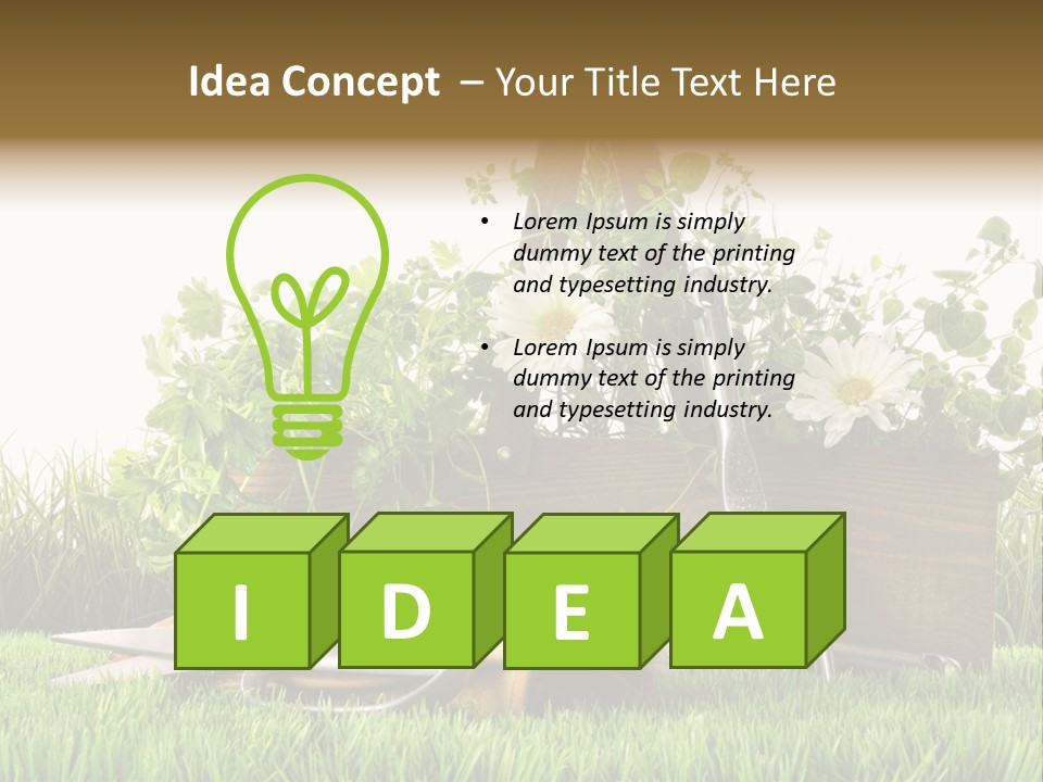 Close Up Grass Daisy PowerPoint Template