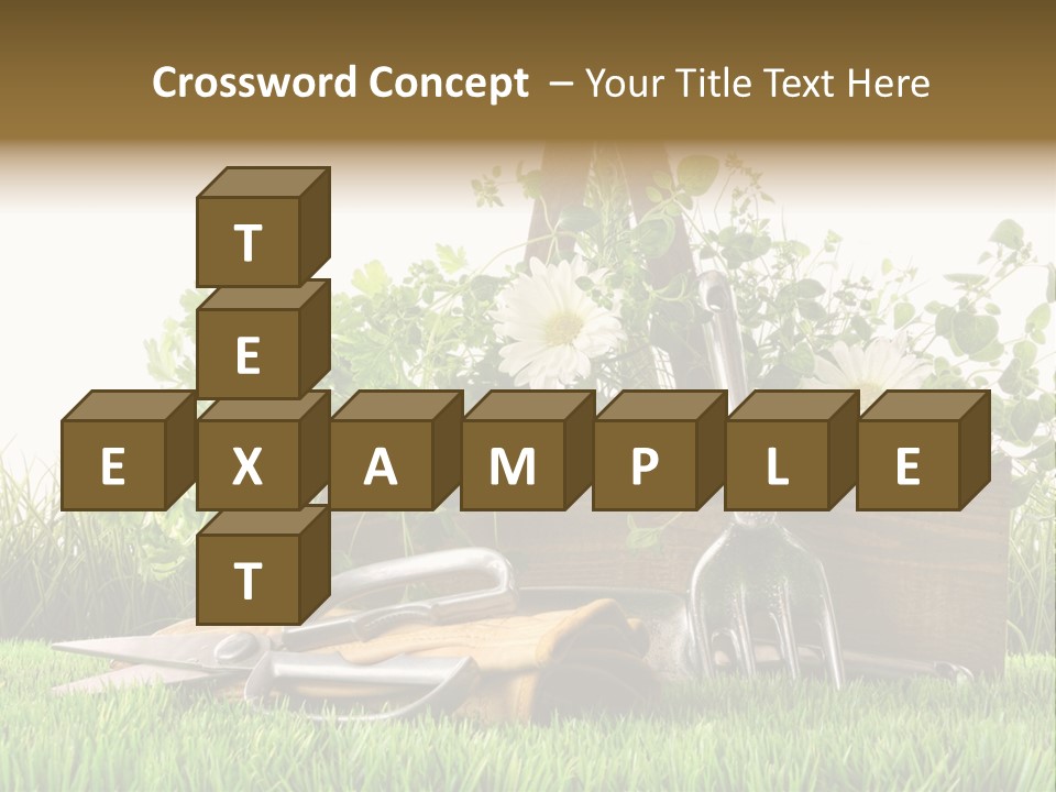 Close Up Grass Daisy PowerPoint Template