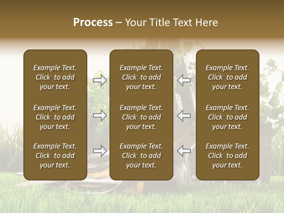 Close Up Grass Daisy PowerPoint Template