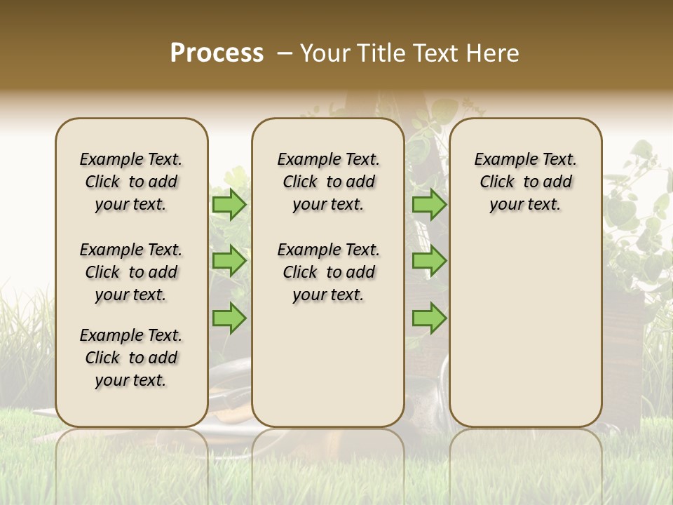 Close Up Grass Daisy PowerPoint Template