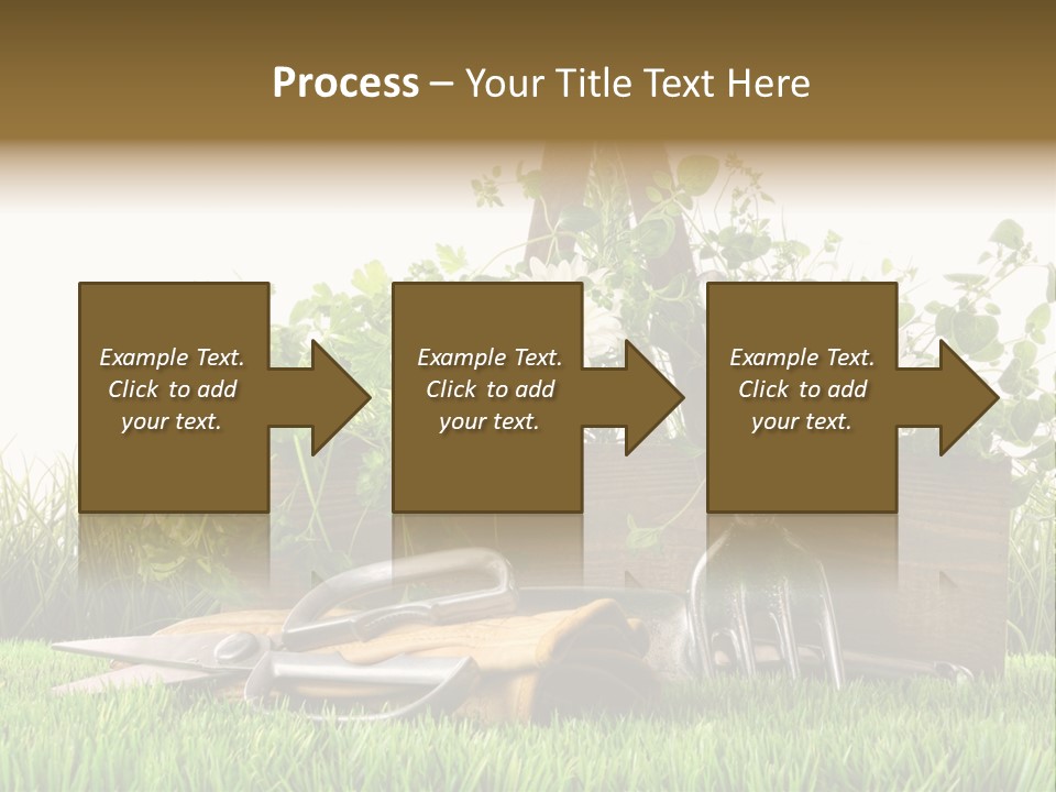 Close Up Grass Daisy PowerPoint Template
