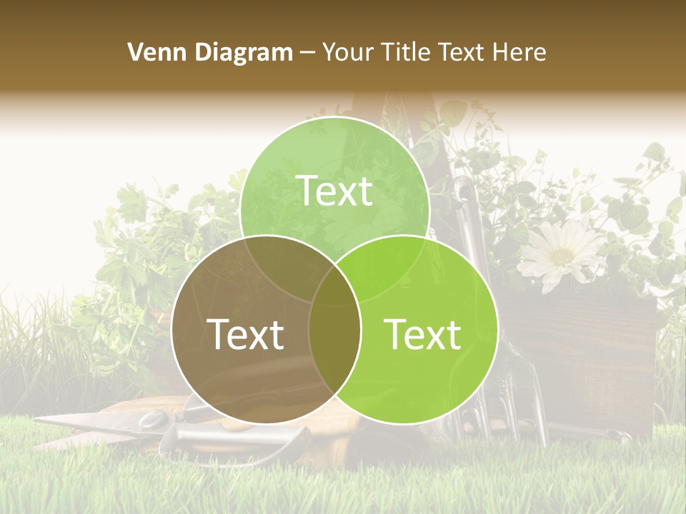 Close Up Grass Daisy PowerPoint Template