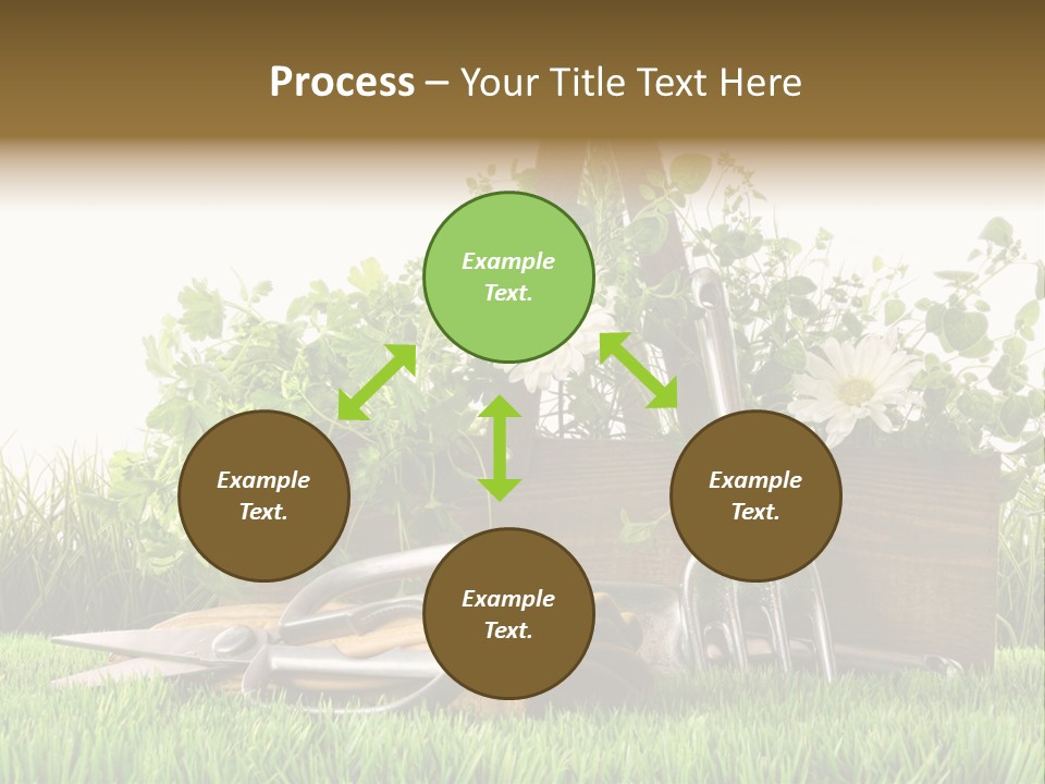 Close Up Grass Daisy PowerPoint Template