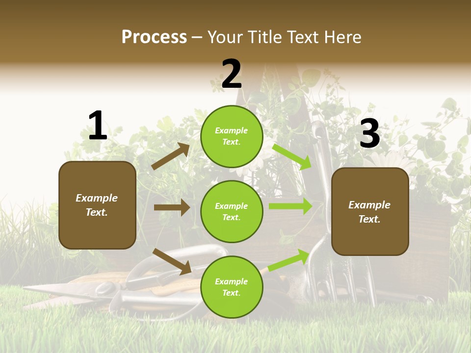 Close Up Grass Daisy PowerPoint Template