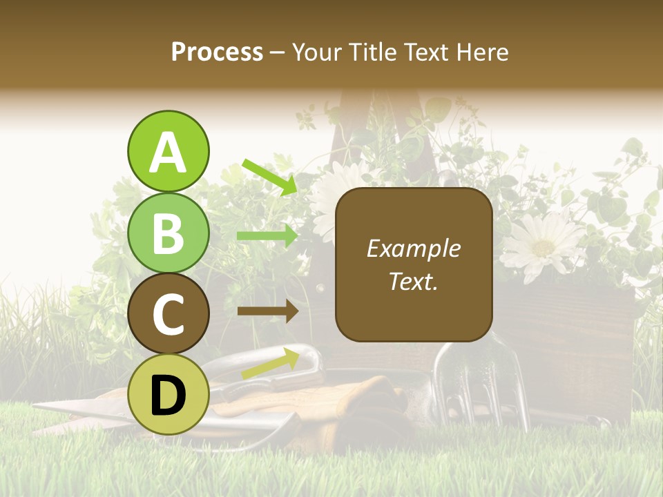 Close Up Grass Daisy PowerPoint Template