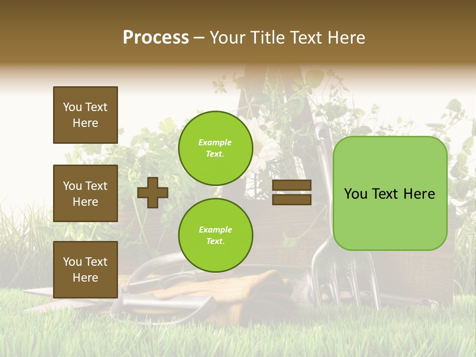 Close Up Grass Daisy PowerPoint Template