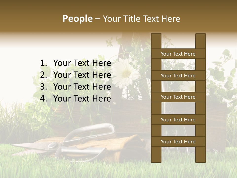 Close Up Grass Daisy PowerPoint Template