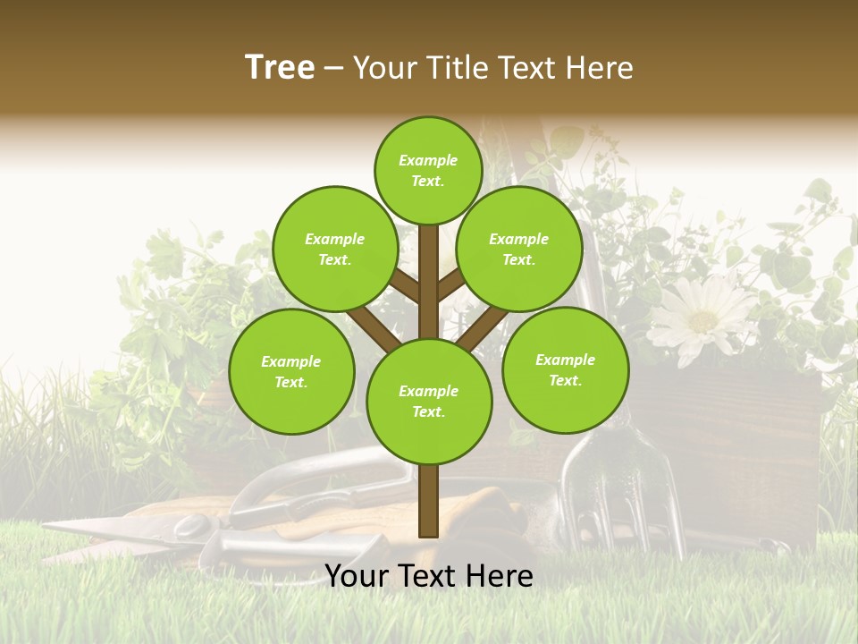 Close Up Grass Daisy PowerPoint Template