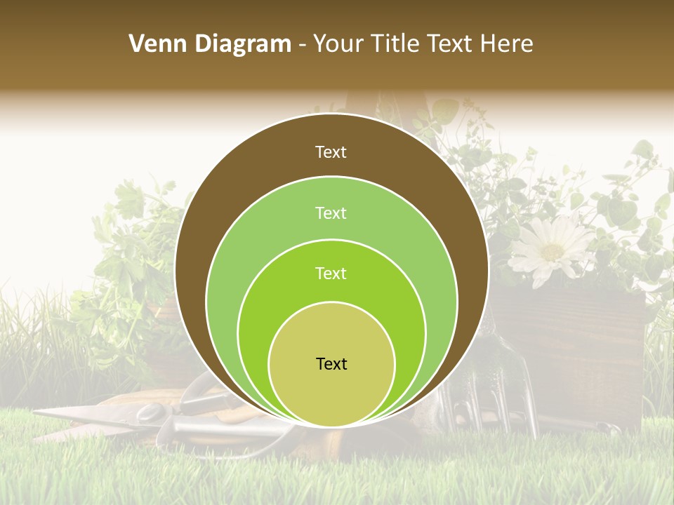 Close Up Grass Daisy PowerPoint Template