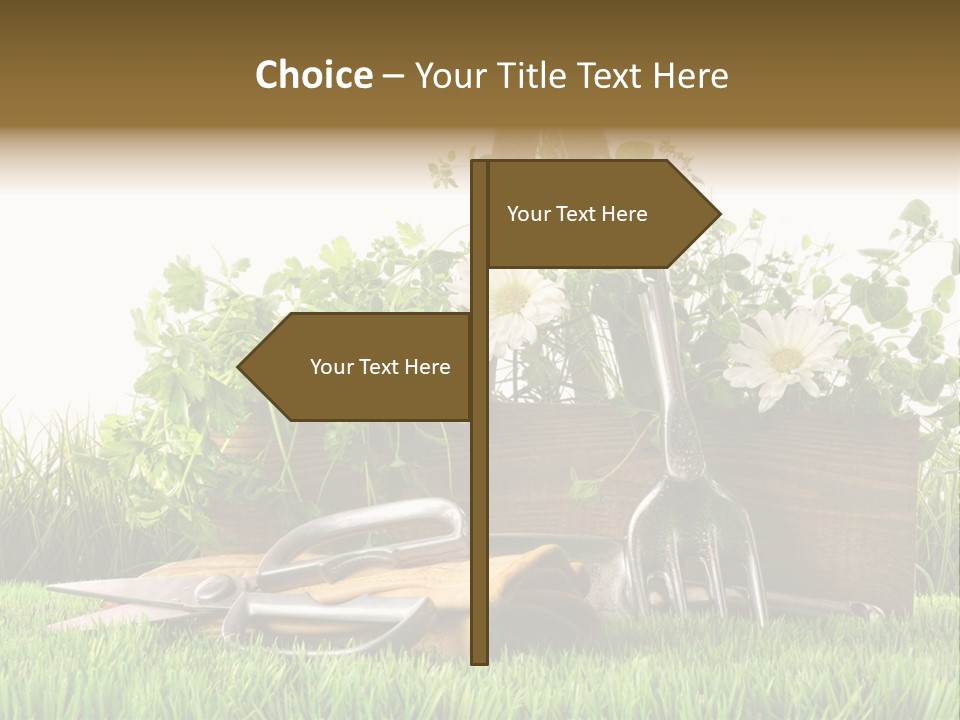 Close Up Grass Daisy PowerPoint Template