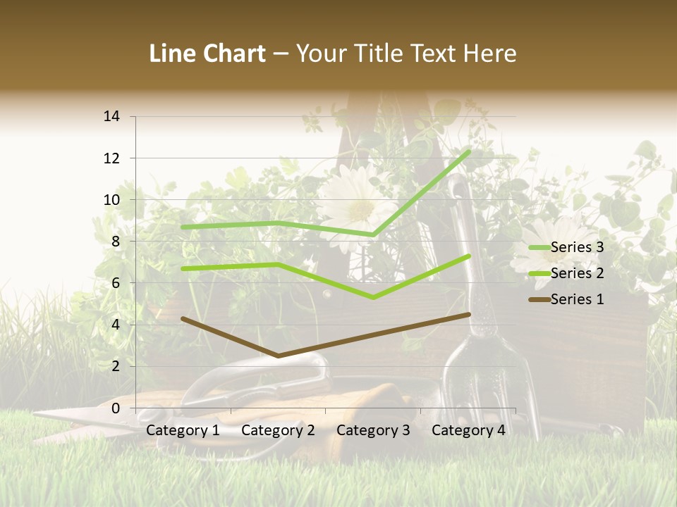 Close Up Grass Daisy PowerPoint Template