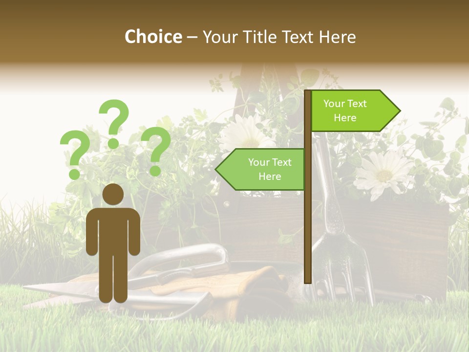 Close Up Grass Daisy PowerPoint Template