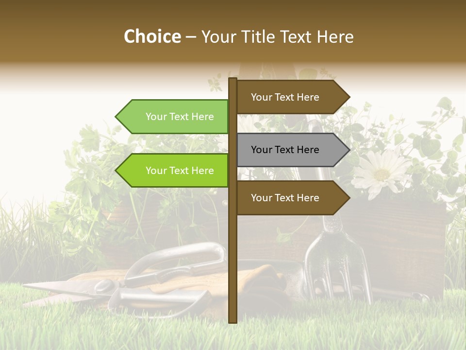 Close Up Grass Daisy PowerPoint Template