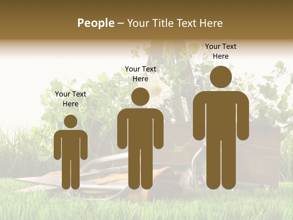 Close Up Grass Daisy PowerPoint Template