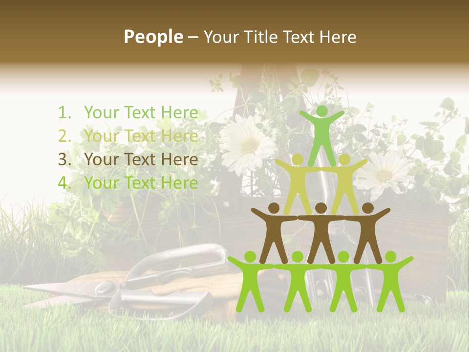 Close Up Grass Daisy PowerPoint Template