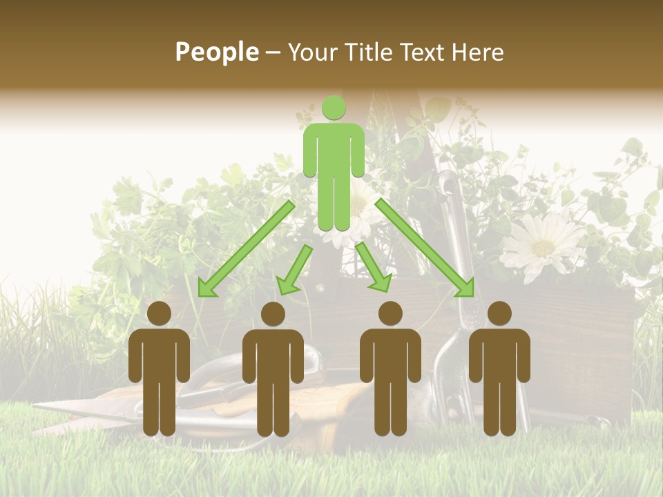 Close Up Grass Daisy PowerPoint Template