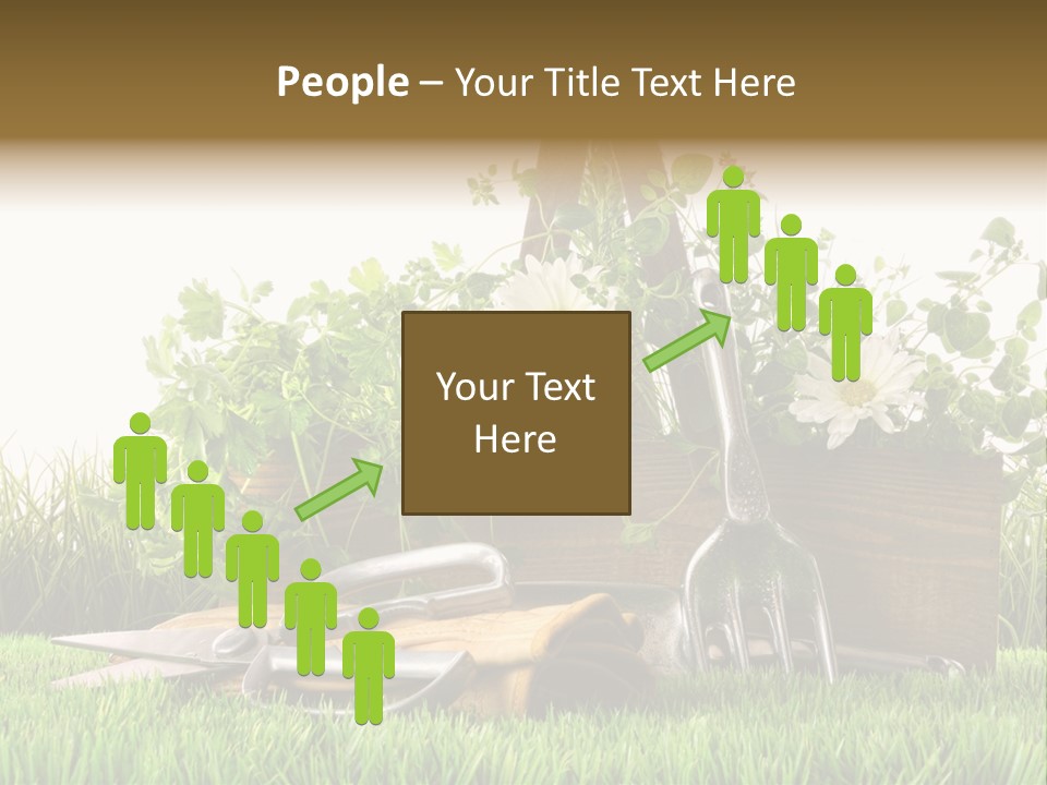 Close Up Grass Daisy PowerPoint Template