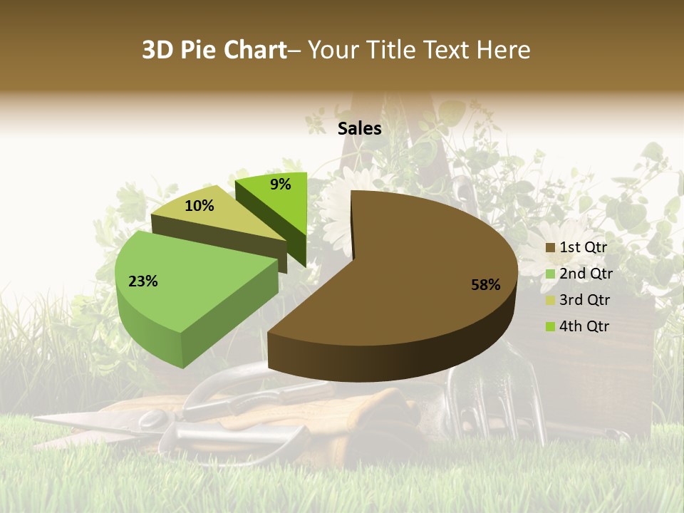 Close Up Grass Daisy PowerPoint Template