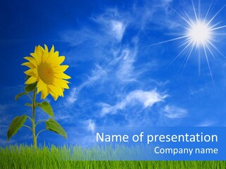 Light Summer Sunflower PowerPoint Template