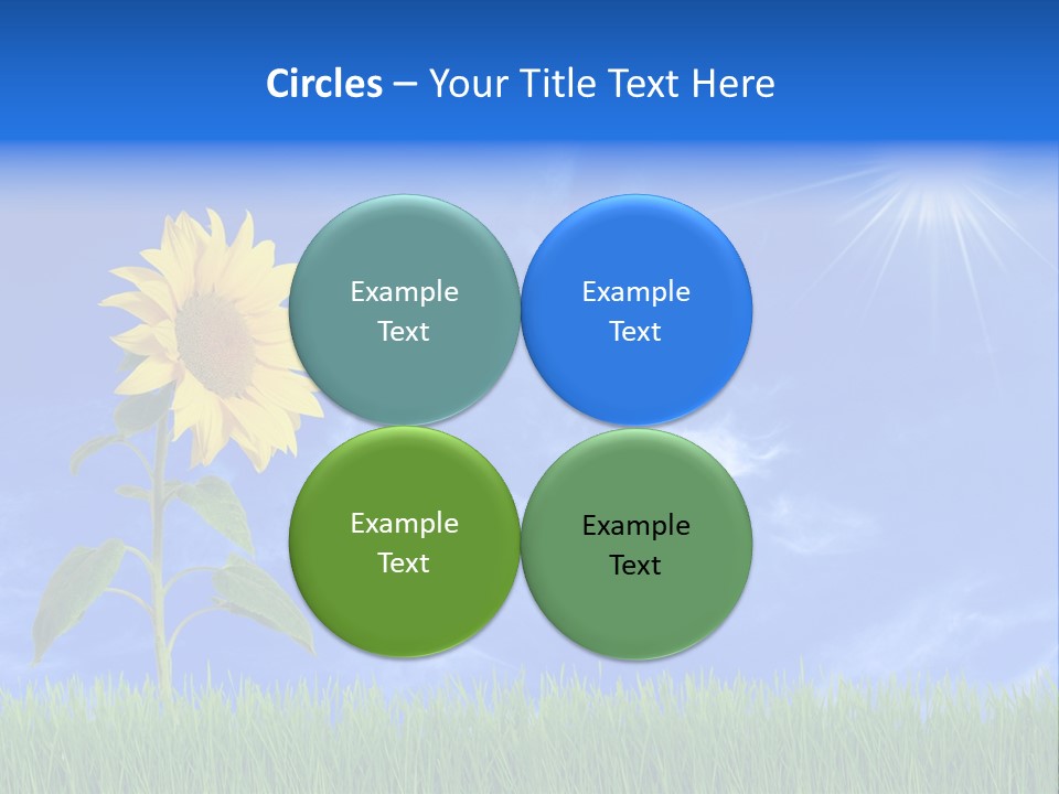 Light Summer Sunflower PowerPoint Template