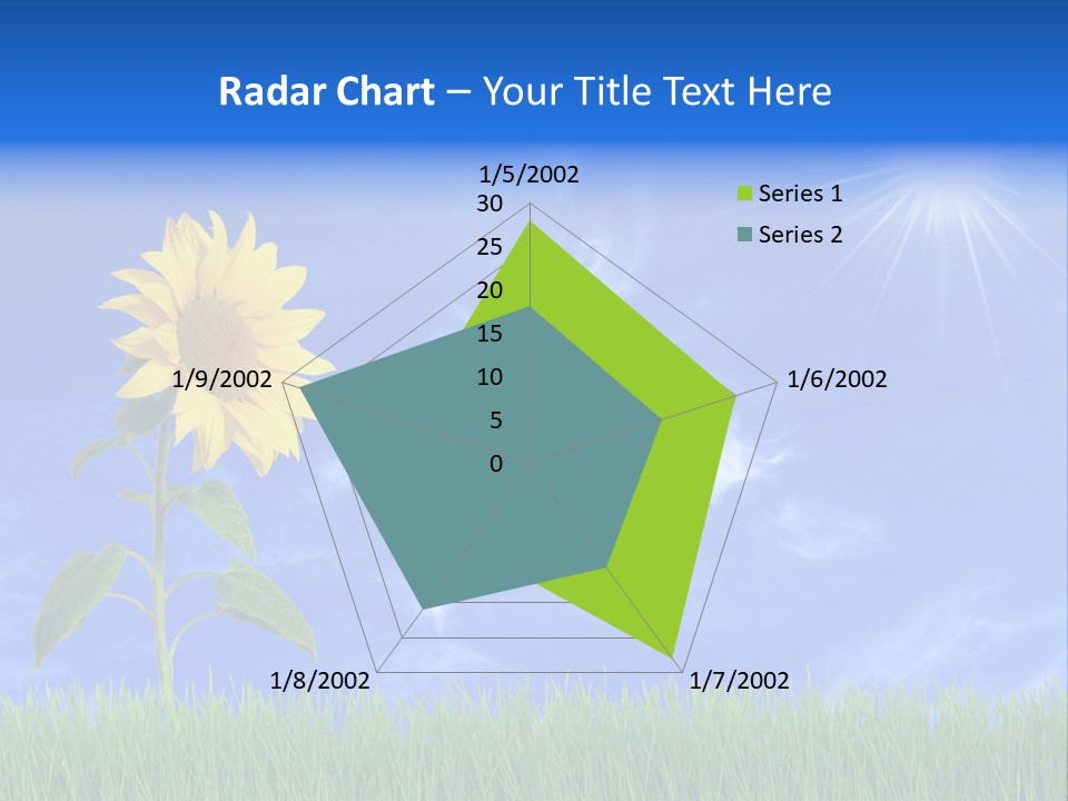 Light Summer Sunflower PowerPoint Template