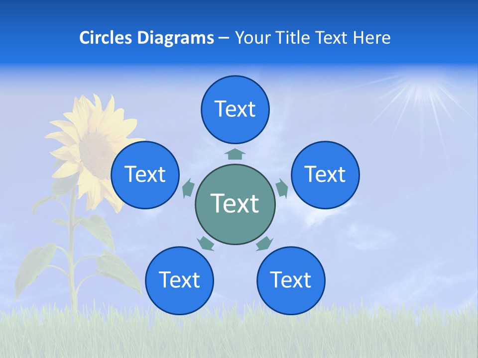 Light Summer Sunflower PowerPoint Template