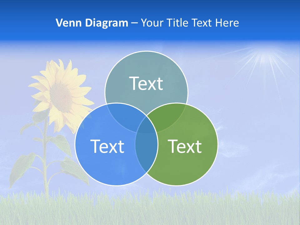 Light Summer Sunflower PowerPoint Template
