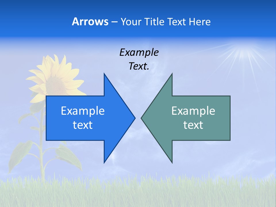 Light Summer Sunflower PowerPoint Template