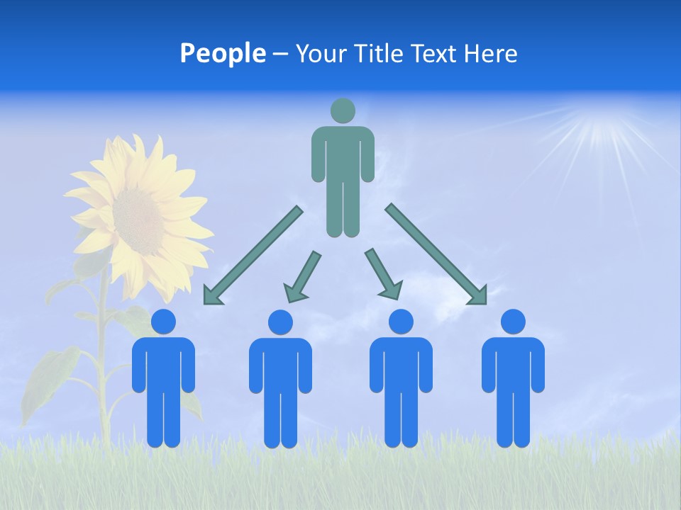 Light Summer Sunflower PowerPoint Template