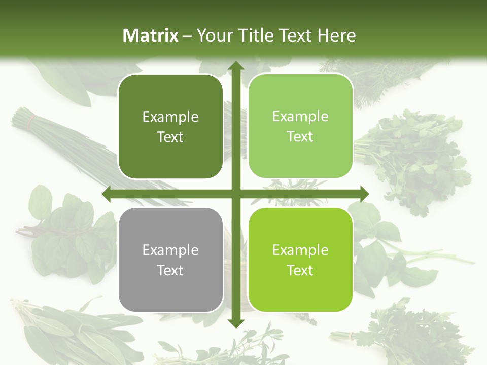 Fresh Salvia Variation PowerPoint Template