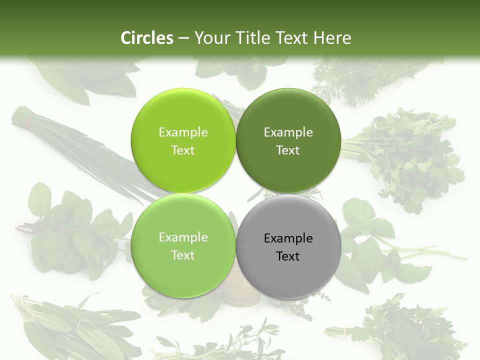 Fresh Salvia Variation PowerPoint Template