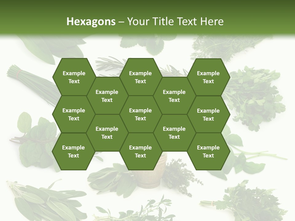 Fresh Salvia Variation PowerPoint Template