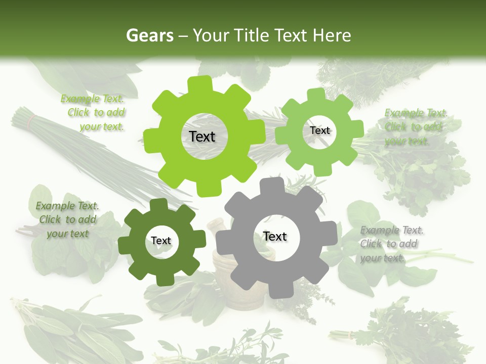 Fresh Salvia Variation PowerPoint Template