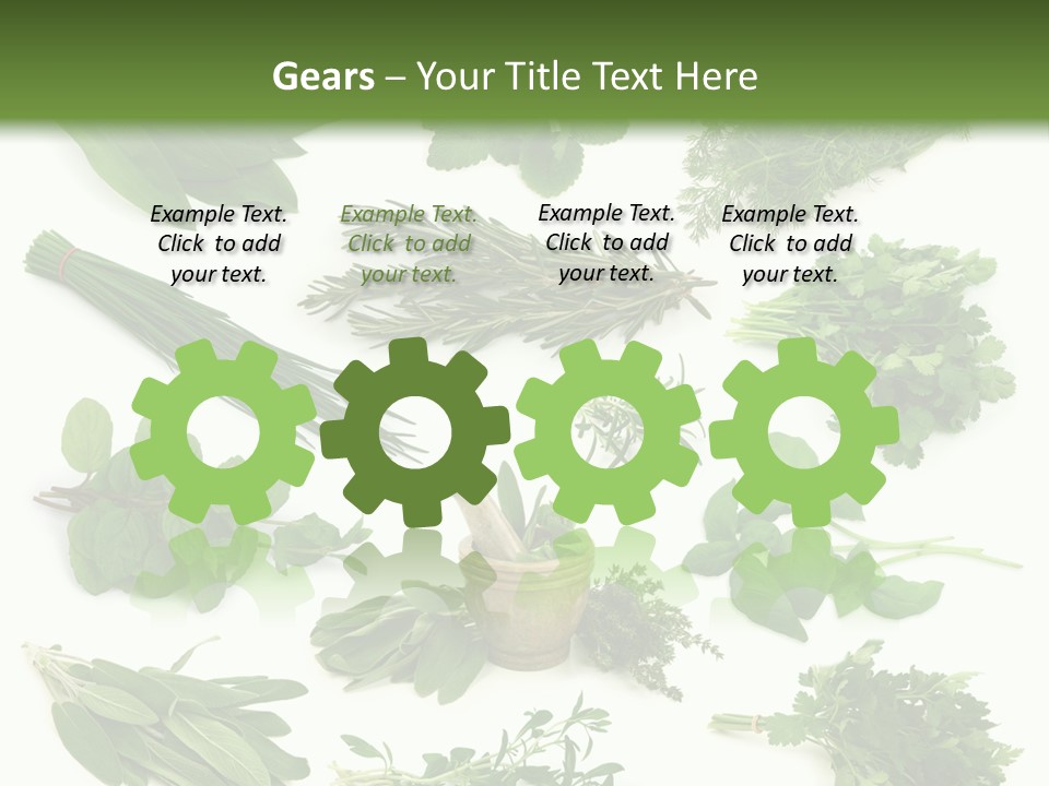 Fresh Salvia Variation PowerPoint Template