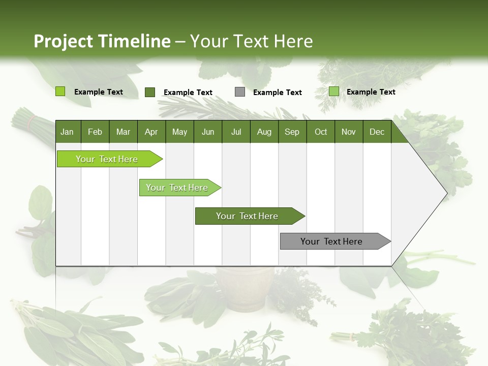 Fresh Salvia Variation PowerPoint Template