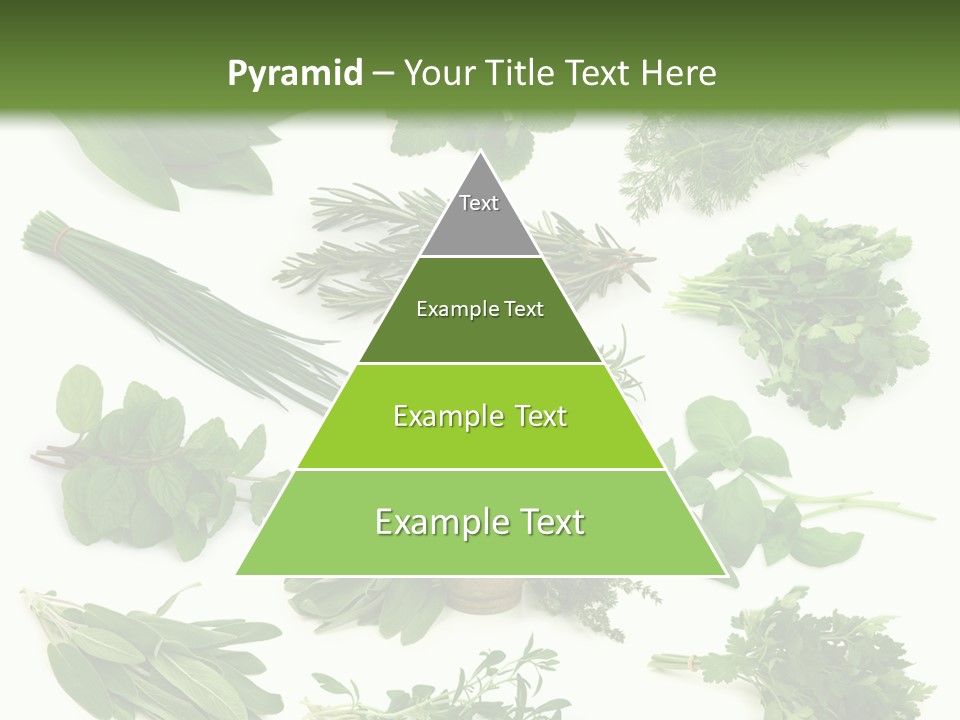 Fresh Salvia Variation PowerPoint Template