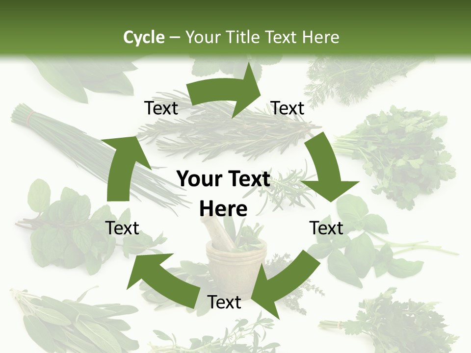 Fresh Salvia Variation PowerPoint Template