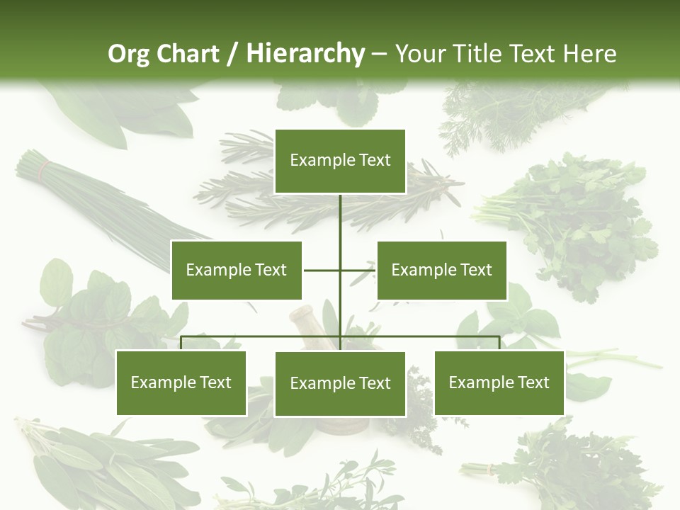 Fresh Salvia Variation PowerPoint Template