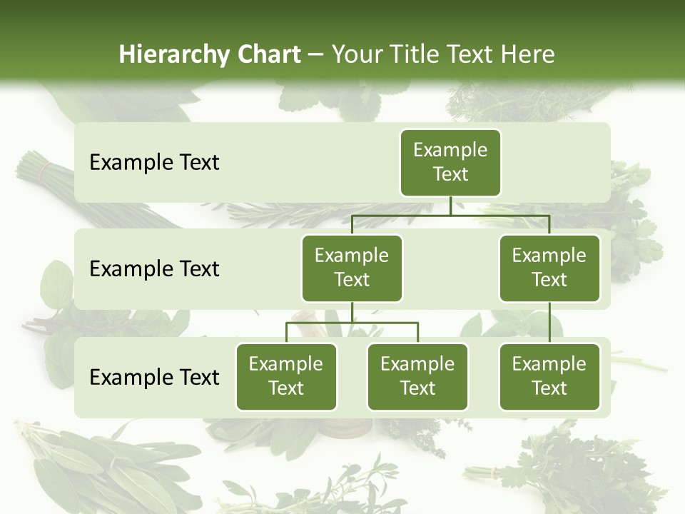Fresh Salvia Variation PowerPoint Template