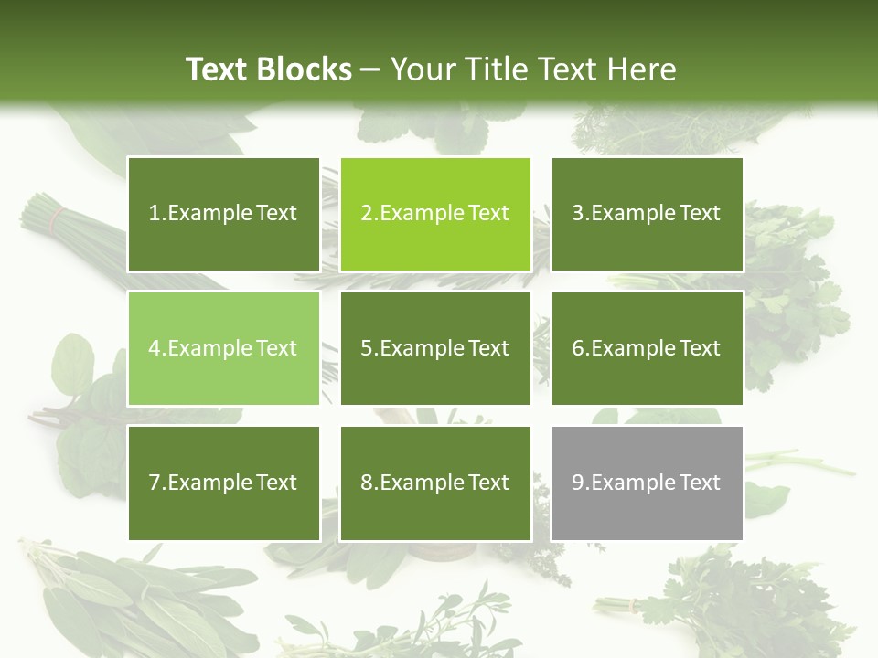 Fresh Salvia Variation PowerPoint Template