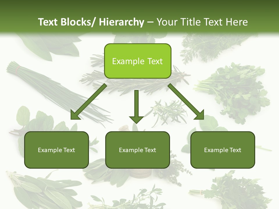 Fresh Salvia Variation PowerPoint Template